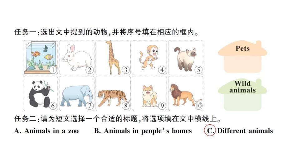 小学英语新人教版PEP三年级上册Unit 3 大单元·主题阅读训练作业课件2024秋_第5页