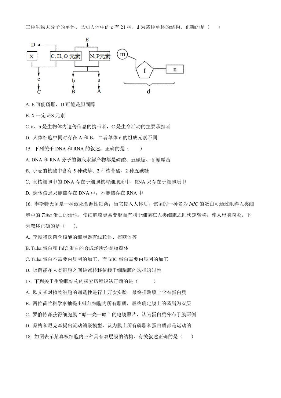 江苏省高邮市2024-2025学年高一上学期期中考试生物Word版无答案_第4页