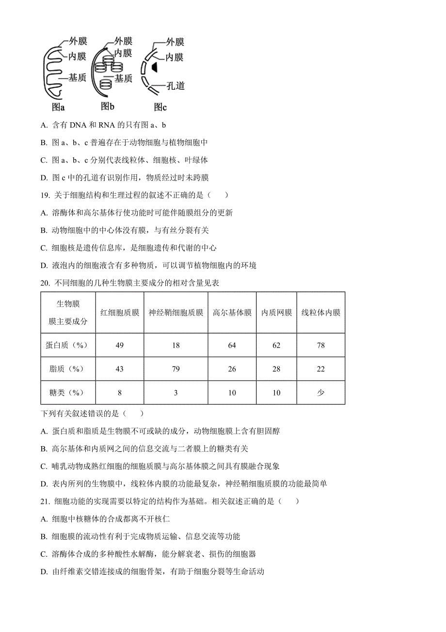 江苏省高邮市2024-2025学年高一上学期期中考试生物Word版无答案_第5页