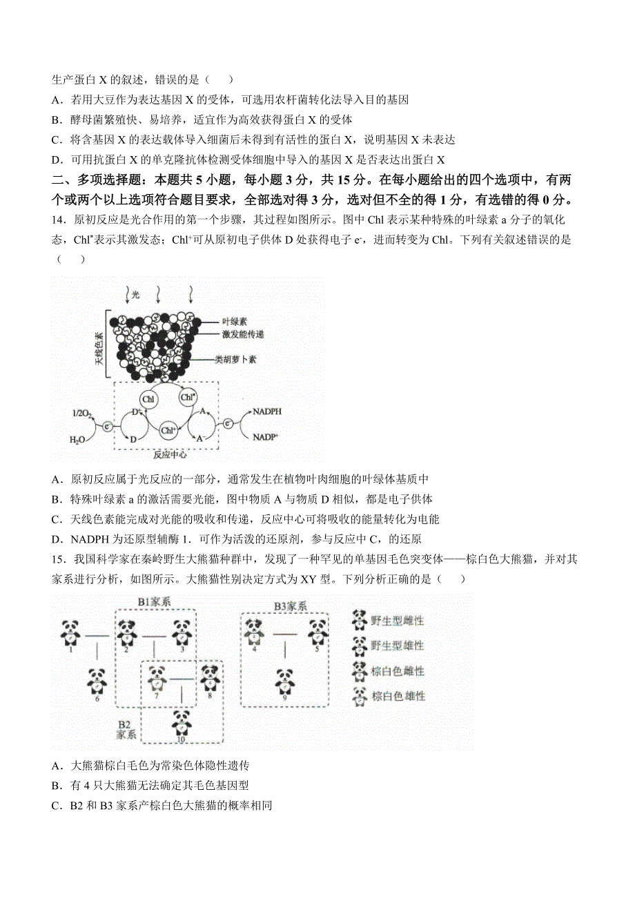 河北省十县联考2024-2025学年高三上学期11月期中考生物 Word版含解析_第4页