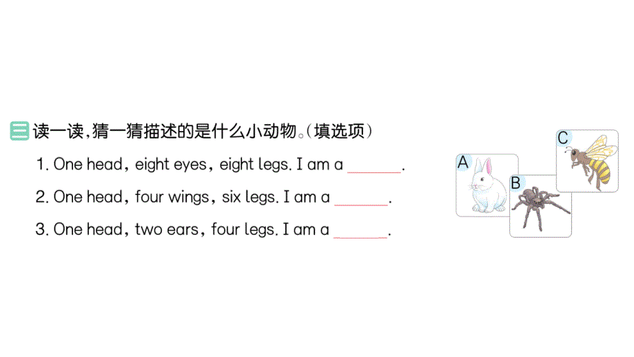 小学英语新人教版PEP三年级上册Unit 6Part B (２) Let's learn & Listen and chant作业课件2024秋_第4页