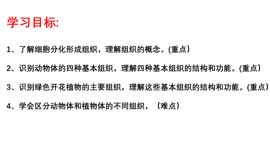 【生物】细胞分化形成组织课件-2024--2025学年北师大版(2024)生物七年级上册_第2页