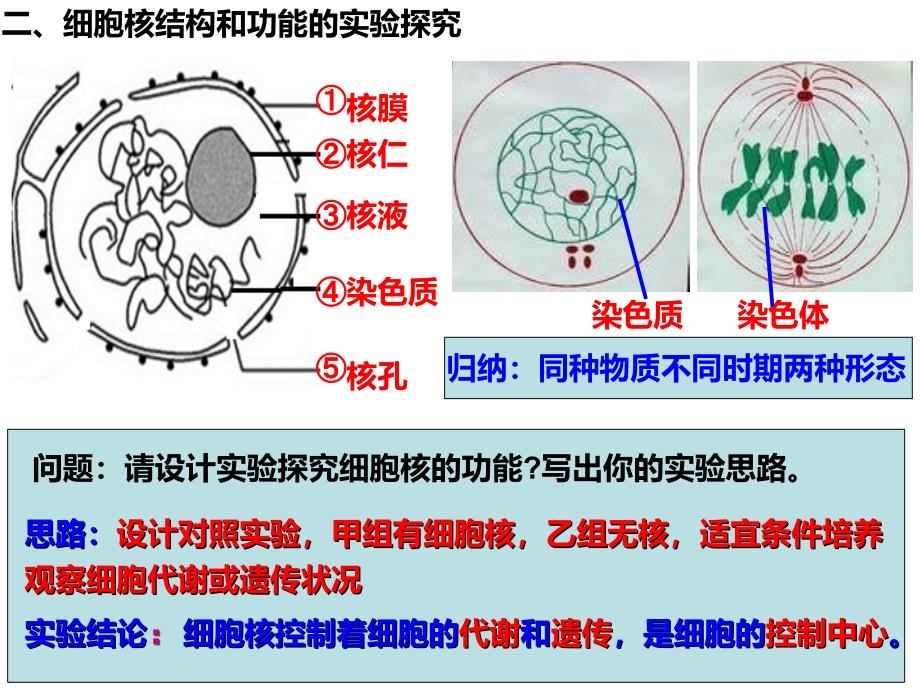 高中课件 第三单元 细胞的基本结构_第4页