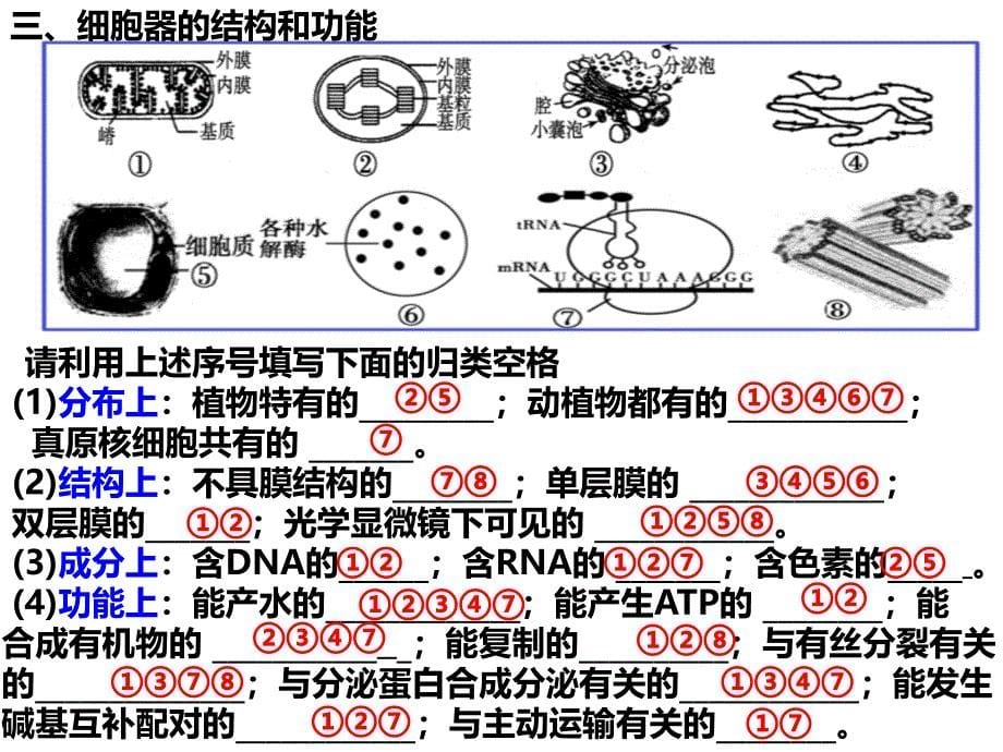 高中课件 第三单元 细胞的基本结构_第5页