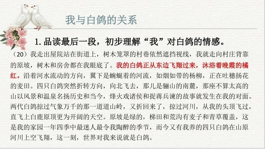 [初中语+文+]《我的白鸽》课件++统编版语文七年级上册_第5页