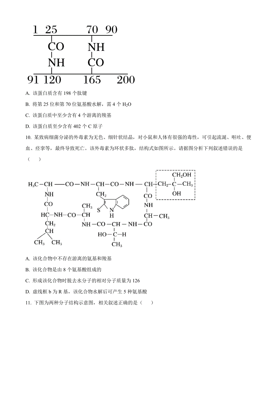 福建省福州市福9联盟校2024-2025学年高一上学期11月期中生物Word版无答案_第3页