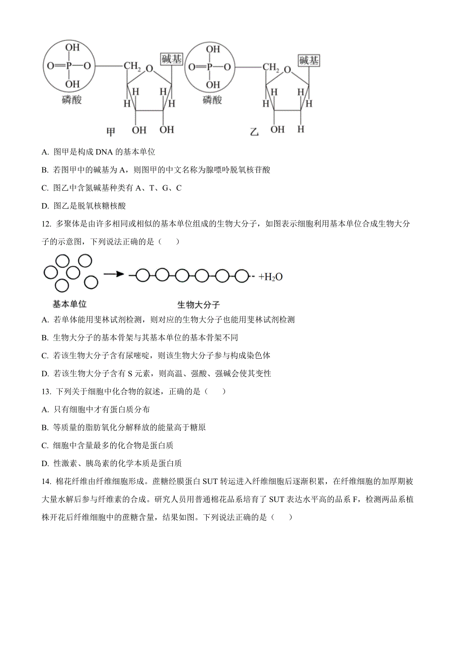 福建省福州市福9联盟校2024-2025学年高一上学期11月期中生物Word版无答案_第4页