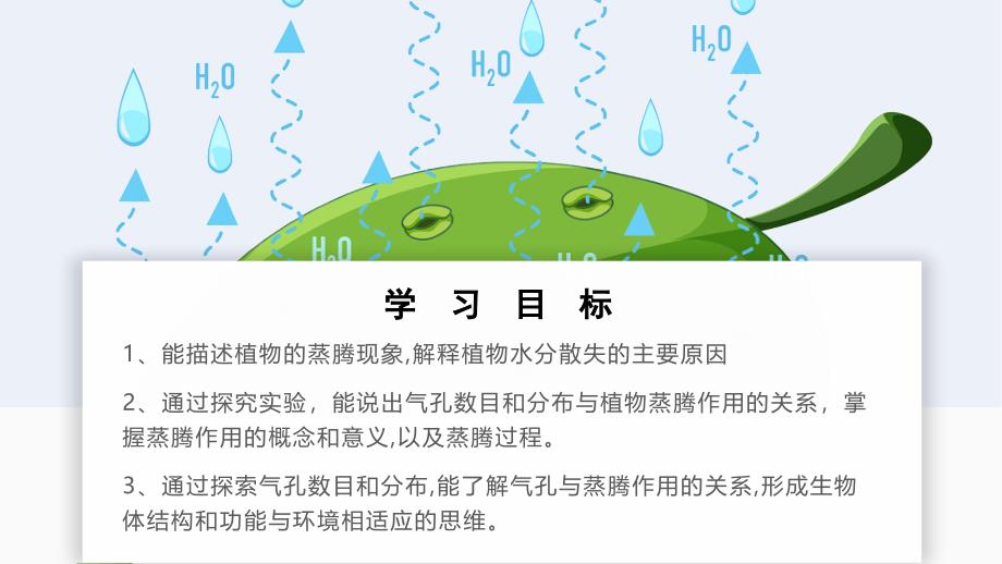 【生物】蒸腾作用课件-2024-2025学年北师大版生物七年级上册_第2页