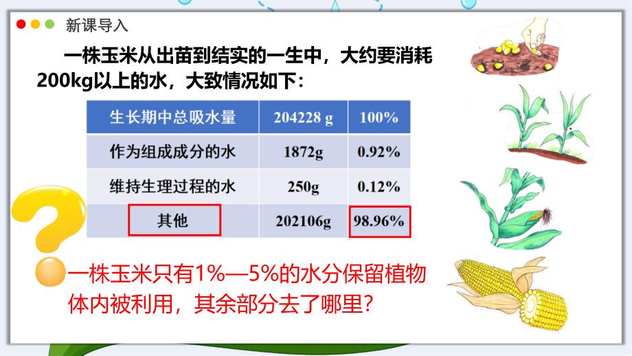 【生物】蒸腾作用课件-2024-2025学年北师大版生物七年级上册_第3页