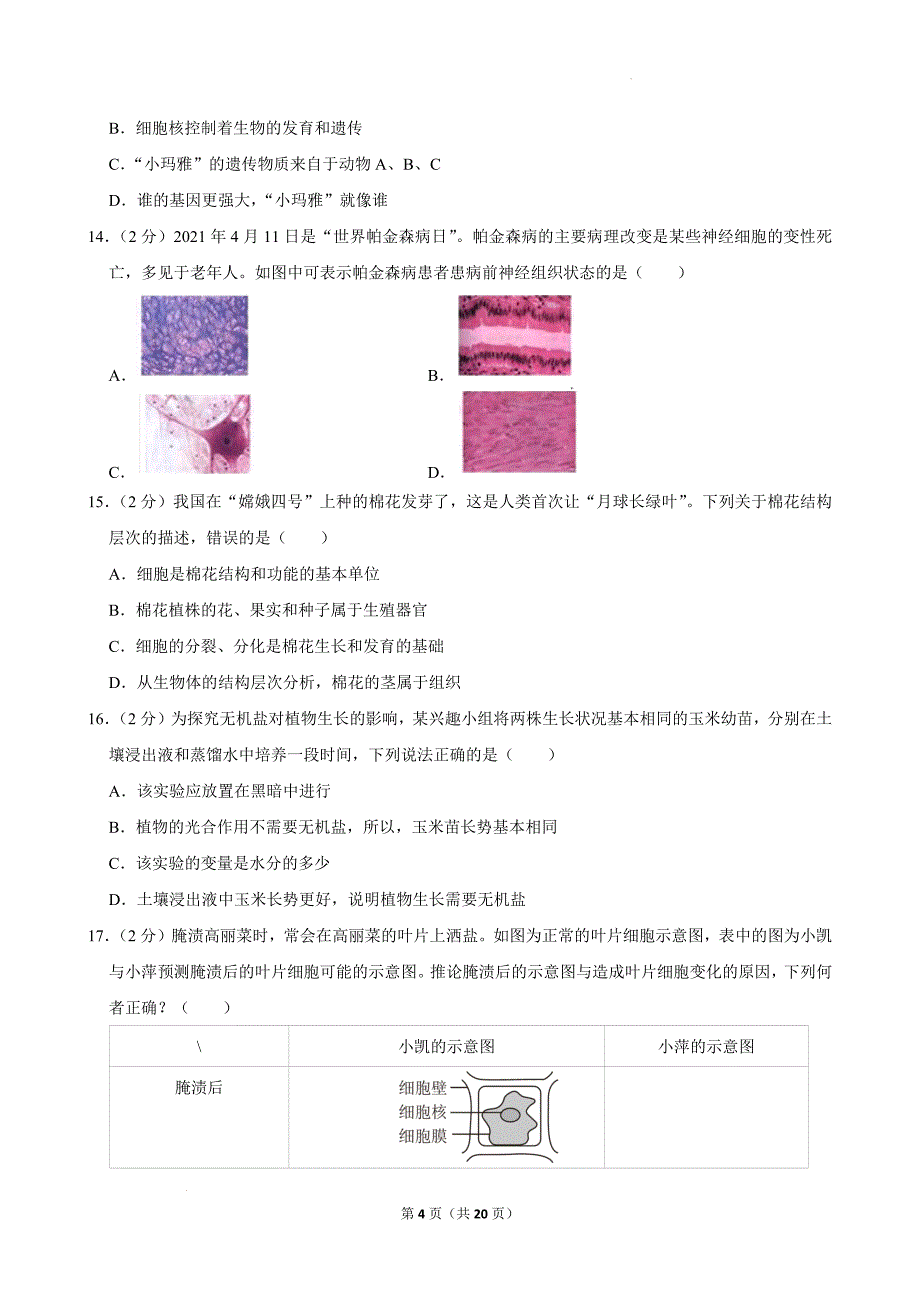 【生物】2024-2025学年北师大版生物七年级上册期末总复习测试题_第4页