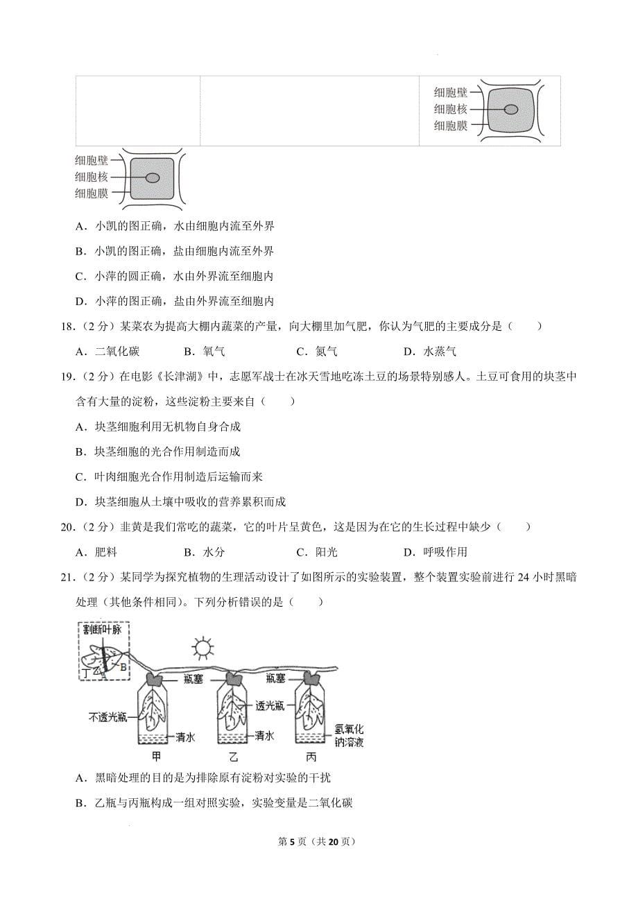 【生物】2024-2025学年北师大版生物七年级上册期末总复习测试题_第5页