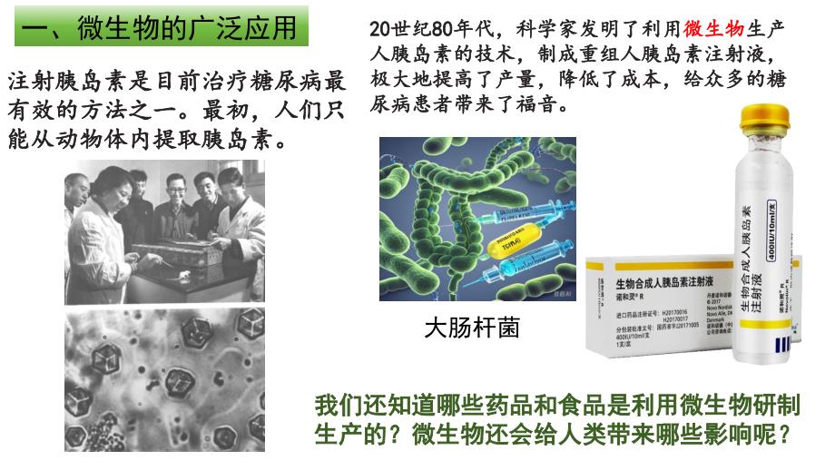 【生物】微生物与人类的关系（课件）-2024-2025学年七年级生物上册（苏教版2024）_第4页