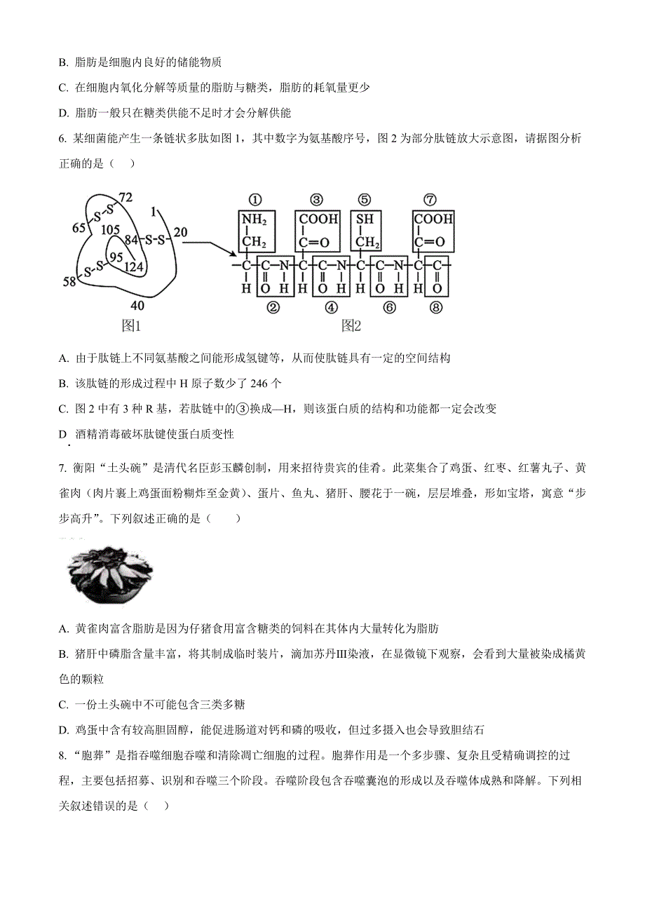 湖南省岳阳市云溪区2024-2025学年高一上学期11月期中生物Word版无答案_第2页