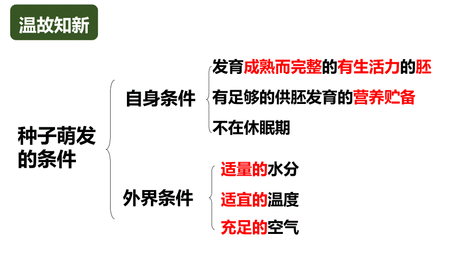 【生物】营养器官的生长课件2024-2025学年北师大版生物七年级上册_第2页