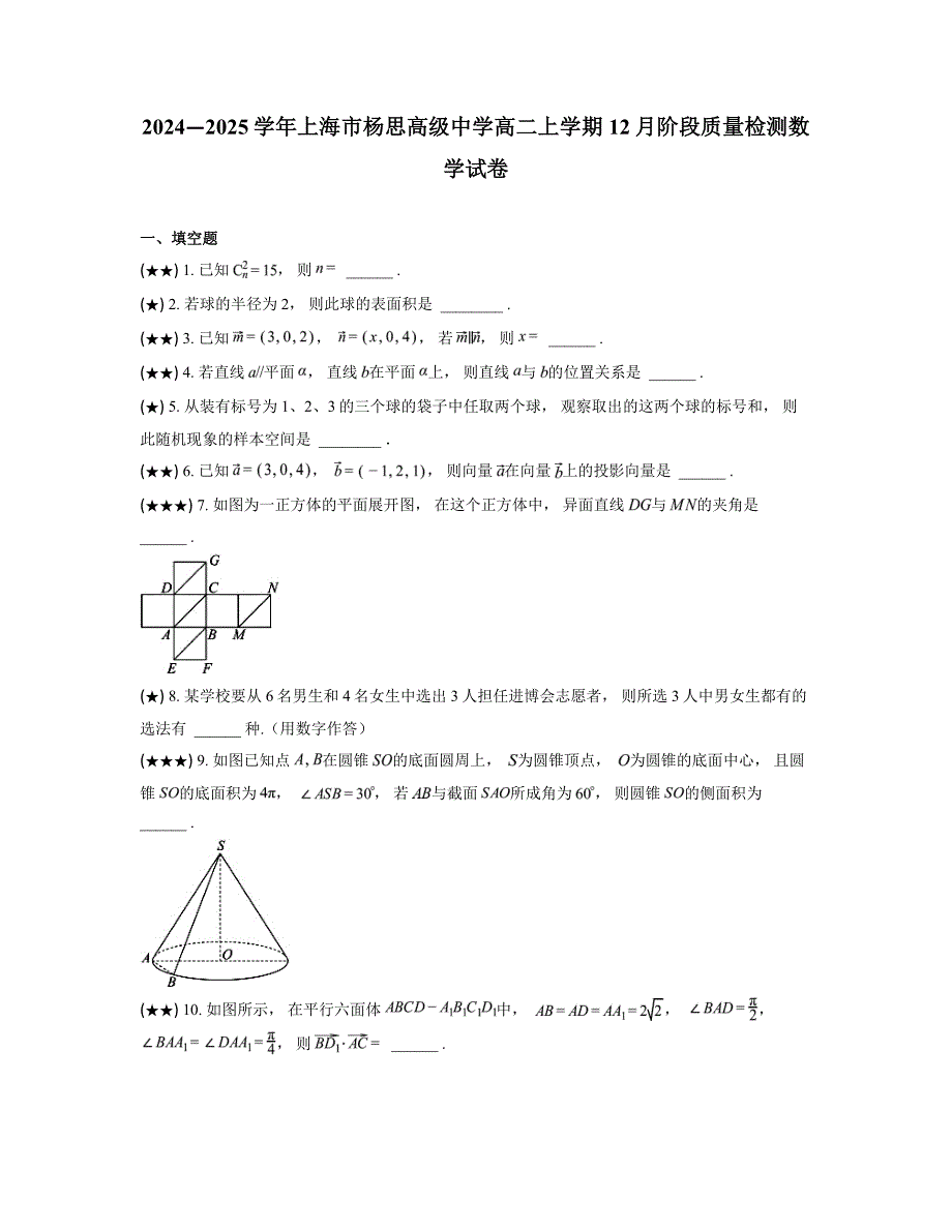 2024—2025学年上海市杨思高级中学高二上学期12月阶段质量检测数学试卷_第1页