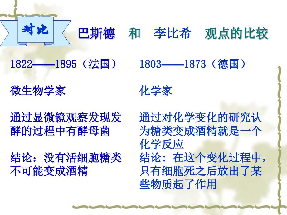 高中课件 降低化学反应活化能的酶_第2页