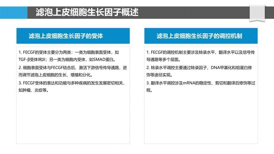 滤泡上皮细胞生长因子研究-洞察分析_第5页