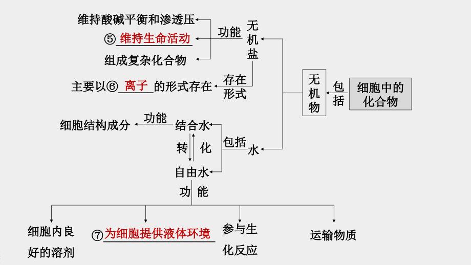 高中课件 细胞的分子组成、结构和物质运输_第4页