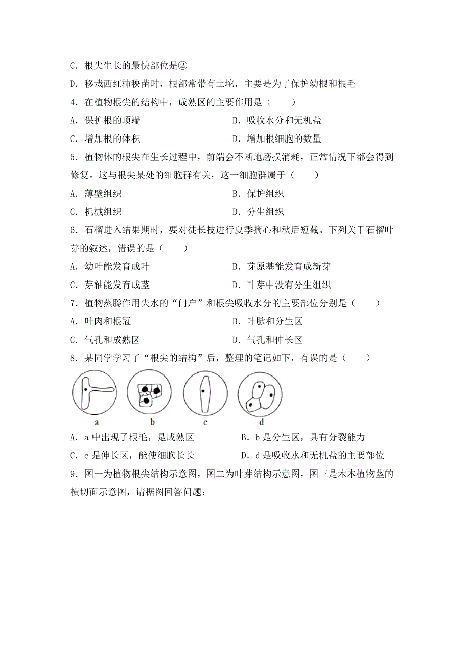 北师大版（2024）七年级生物上册第三单元第五章第二节《营养器官的生长》优质练习_第2页