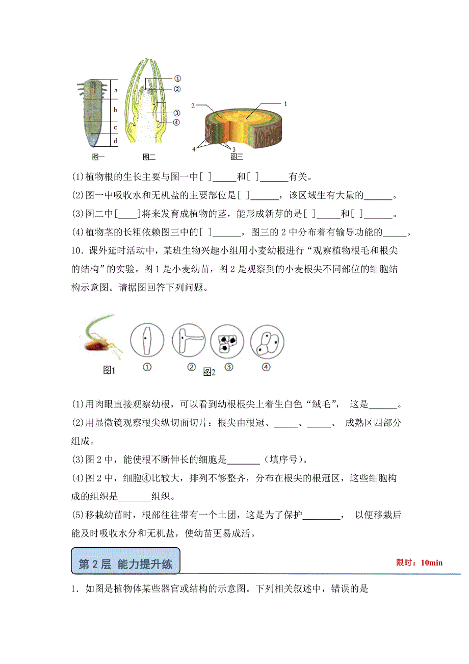 北师大版（2024）七年级生物上册第三单元第五章第二节《营养器官的生长》优质练习_第3页