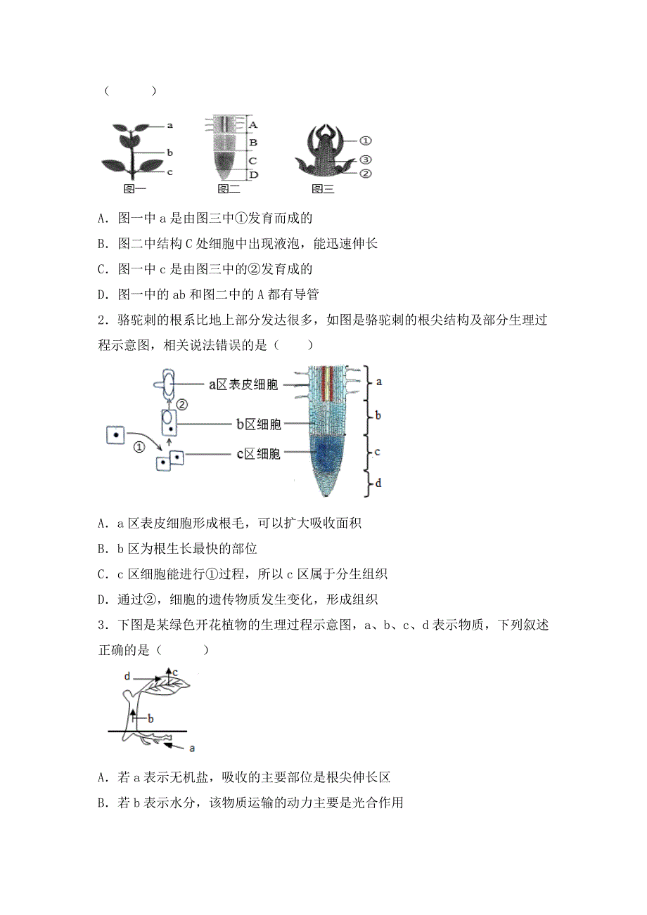 北师大版（2024）七年级生物上册第三单元第五章第二节《营养器官的生长》优质练习_第4页