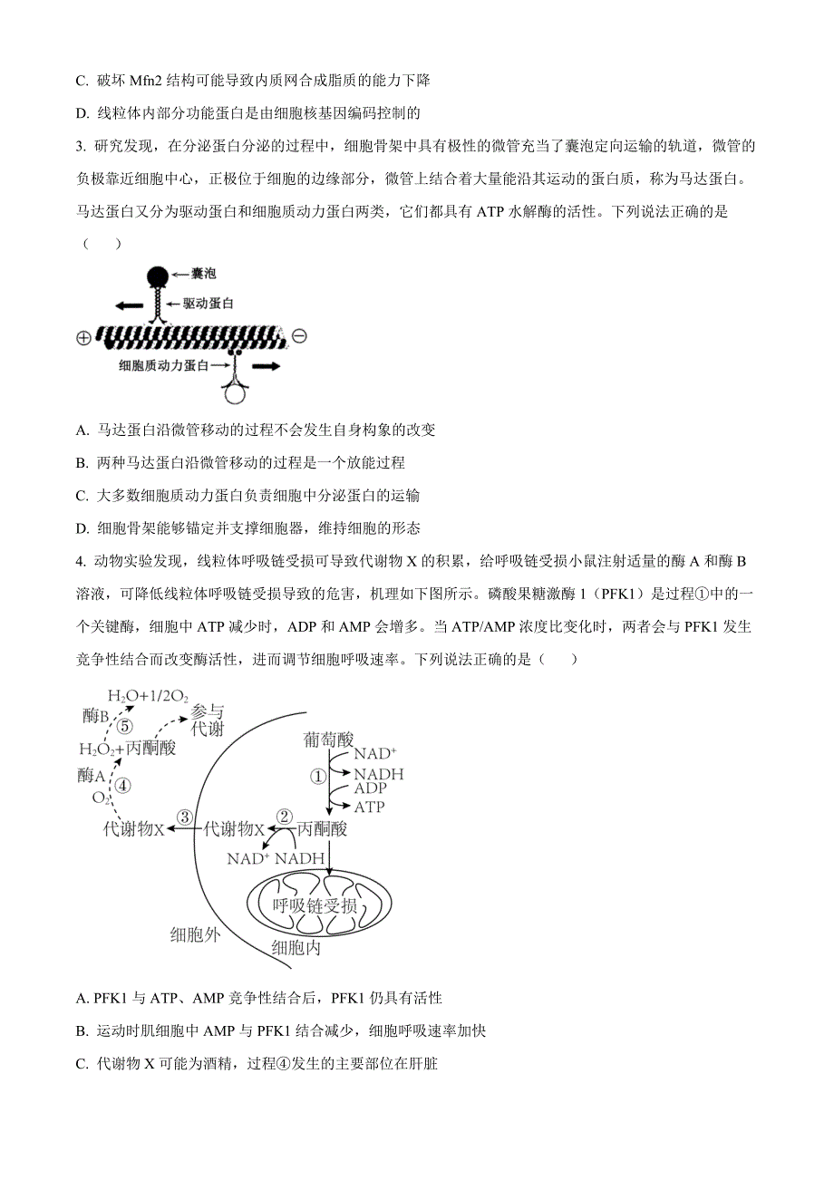 山东省青岛市黄岛区22025届高三上学期11月期中考试生物Word版_第2页