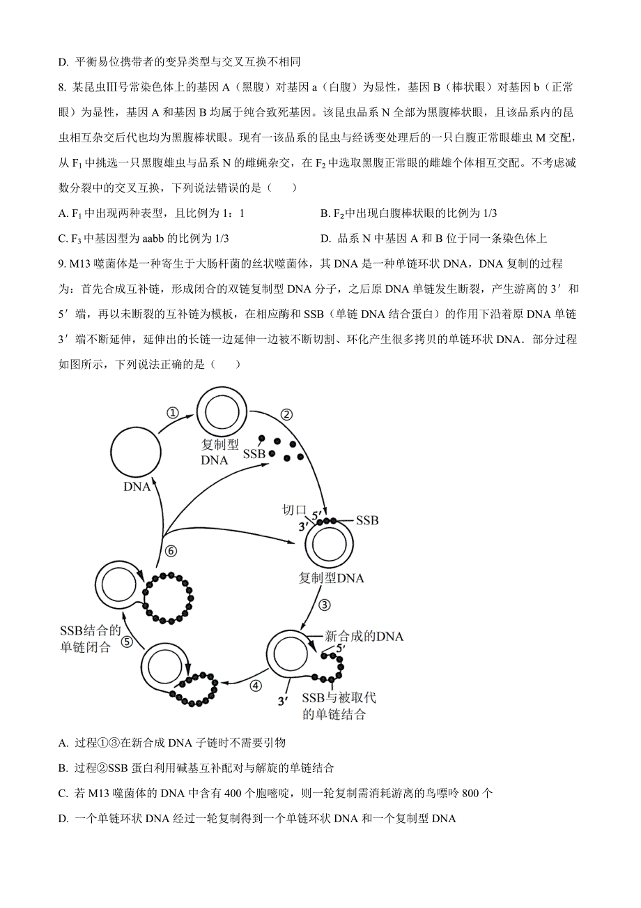 山东省青岛市黄岛区22025届高三上学期11月期中考试生物Word版_第4页