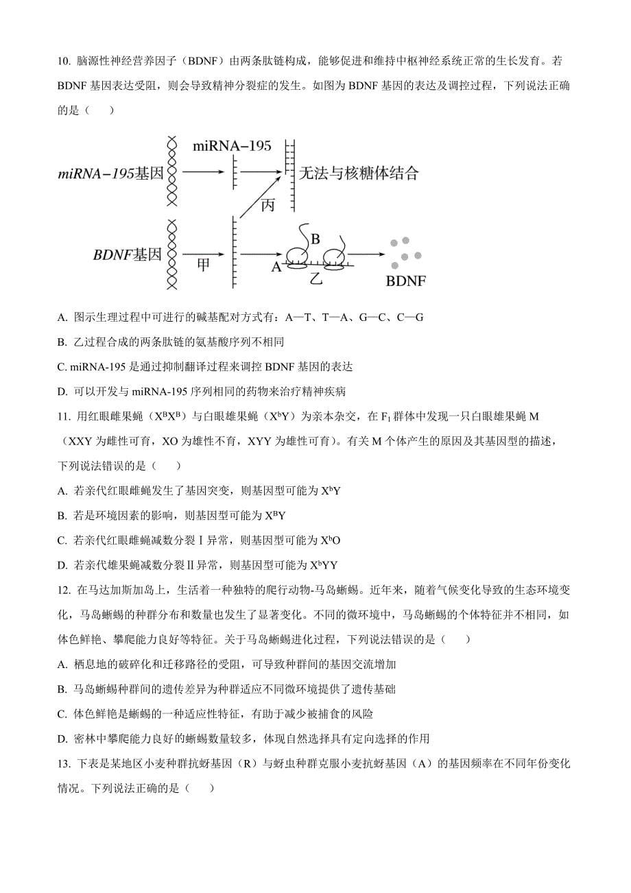 山东省青岛市黄岛区22025届高三上学期11月期中考试生物Word版_第5页