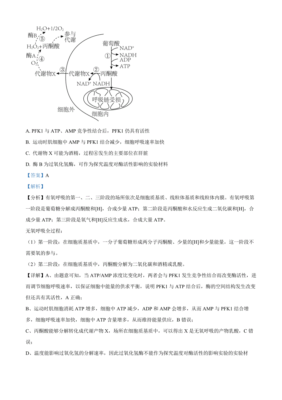 山东省青岛市黄岛区22025届高三上学期11月期中考试生物word版含解析_第4页