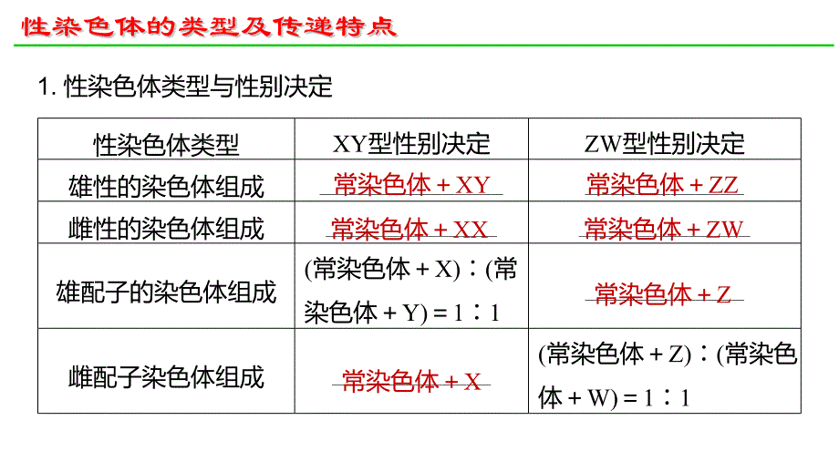 高中生物人教版（2019）必修二2.3伴性遗传（共19张ppt）_第4页