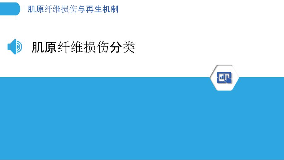 肌原纤维损伤与再生机制-洞察分析_第3页