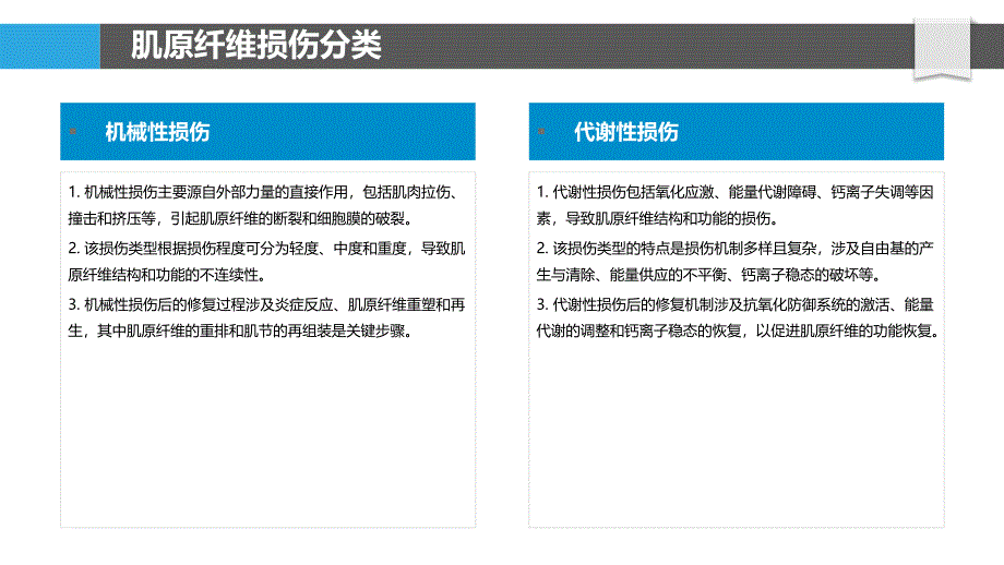 肌原纤维损伤与再生机制-洞察分析_第4页