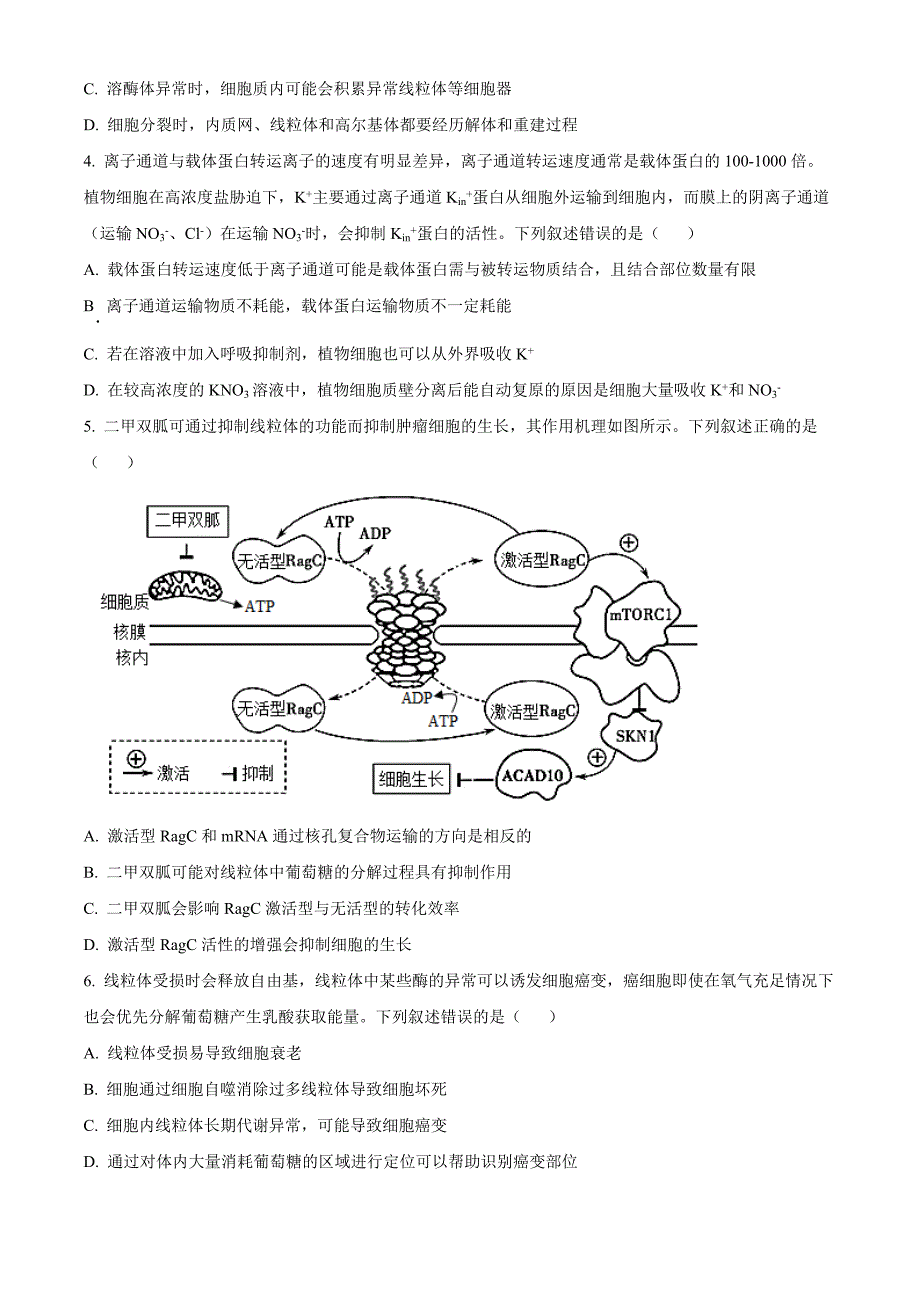 山东省聊城市2025届高三上学期11月期中教学质量检测生物Word版_第2页