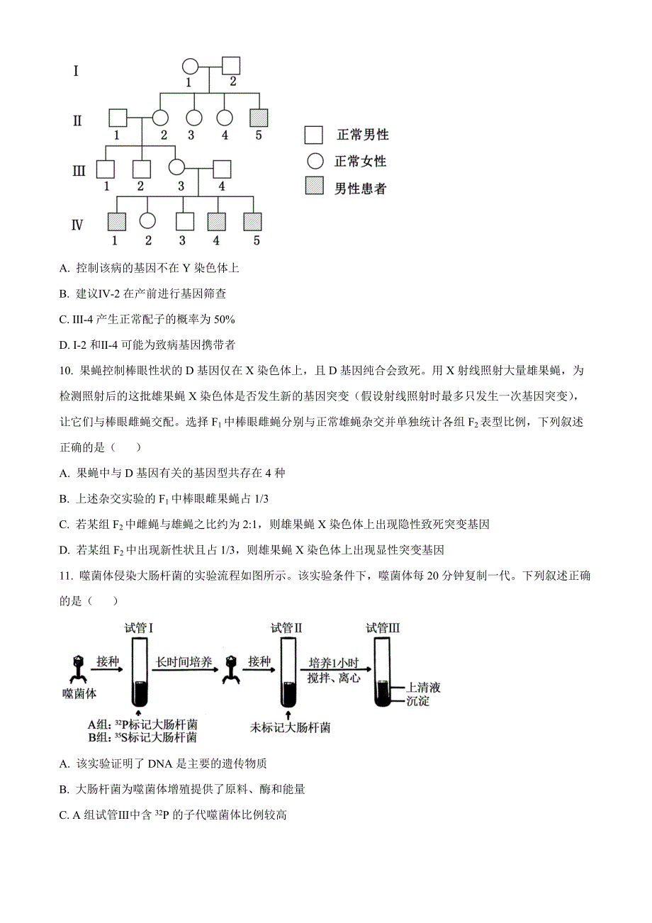 山东省聊城市2025届高三上学期11月期中教学质量检测生物Word版_第4页