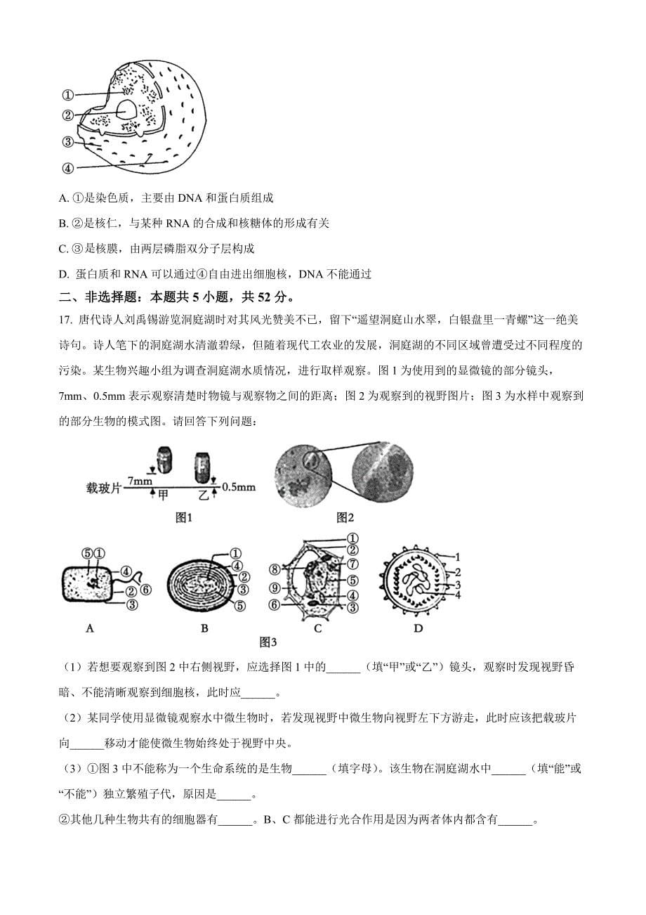 山西省部分学校2024-2025学年高一上学期11月期中质量检测生物Word版无答案_第5页