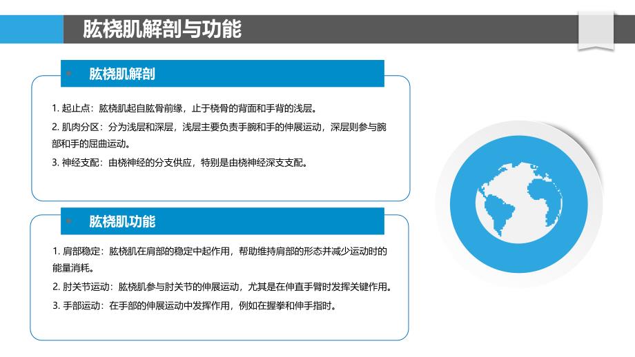 肱桡肌在运动表现中的作用-洞察分析_第4页