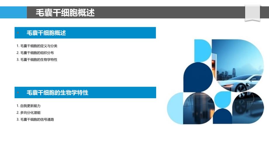 毛囊干细胞在多毛症中的作用-洞察分析_第4页