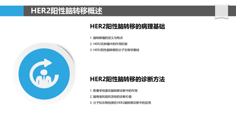 曲妥珠单抗与免疫治疗在HER2阳性脑转移中的应用-洞察分析_第4页