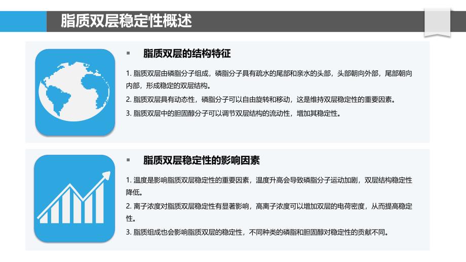 脂质双层稳定性研究-洞察分析_第4页