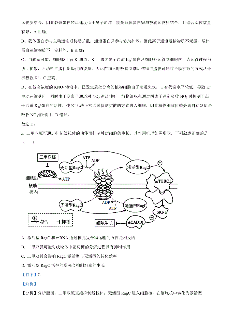 山东省聊城市2025届高三上学期11月期中教学质量检测生物word版含解析_第4页