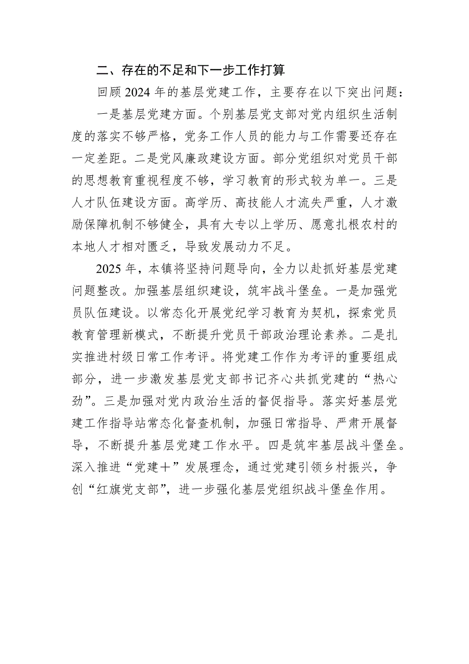 乡2024年度基层党建工作整改报告_第3页