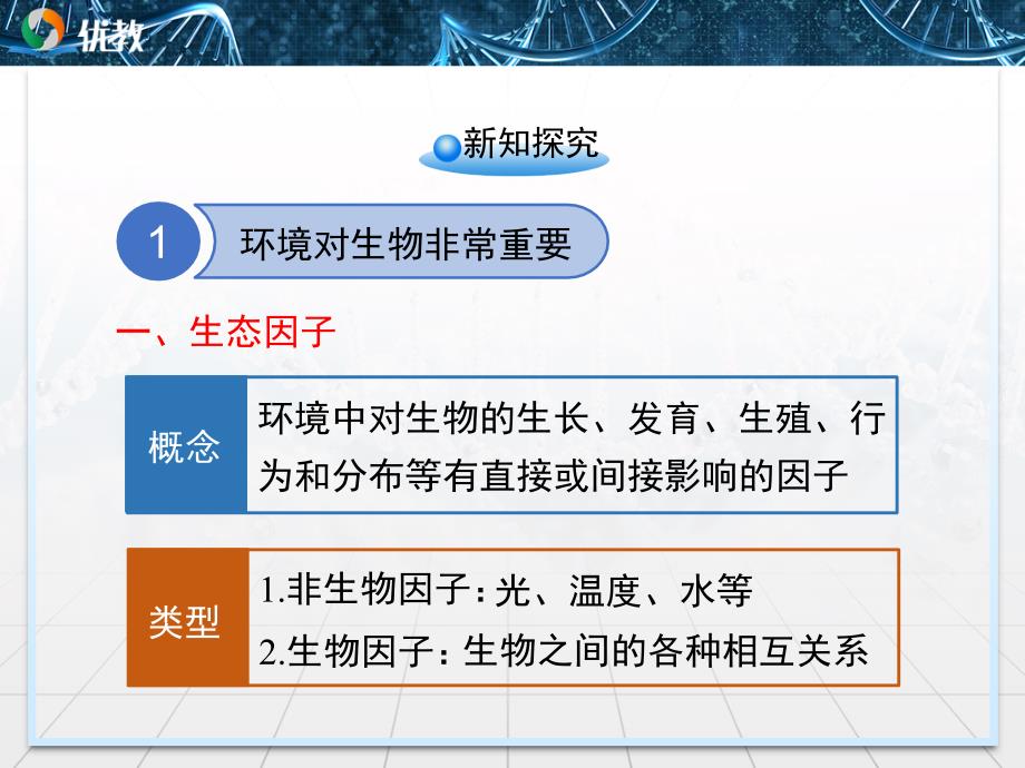 《生态系统和生物圈》精品课件_第4页