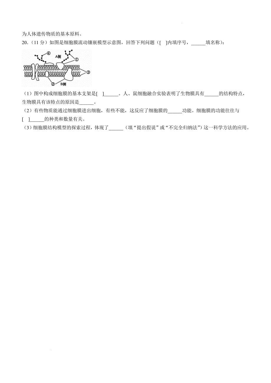 安徽省滁州市滁州九校联考2024—2025学年高一上学期期中考试生物Word版_第5页