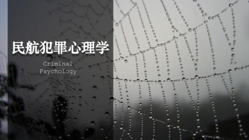 1.民航犯罪心理学第一章（研究对象及方法）