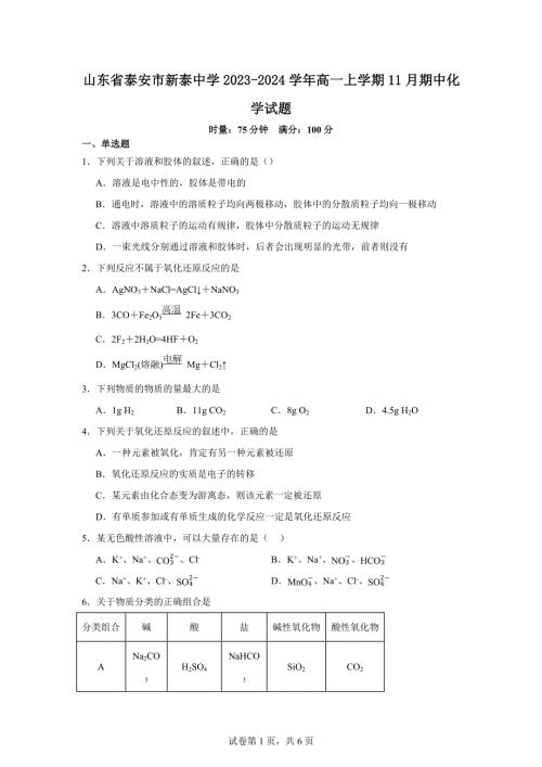 山东省泰安市新泰中学2023-2024学年高一上学期11月期中化学试题