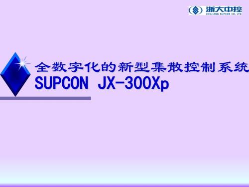 集散控制系統(tǒng)SUPCON JX-300XP - 副本