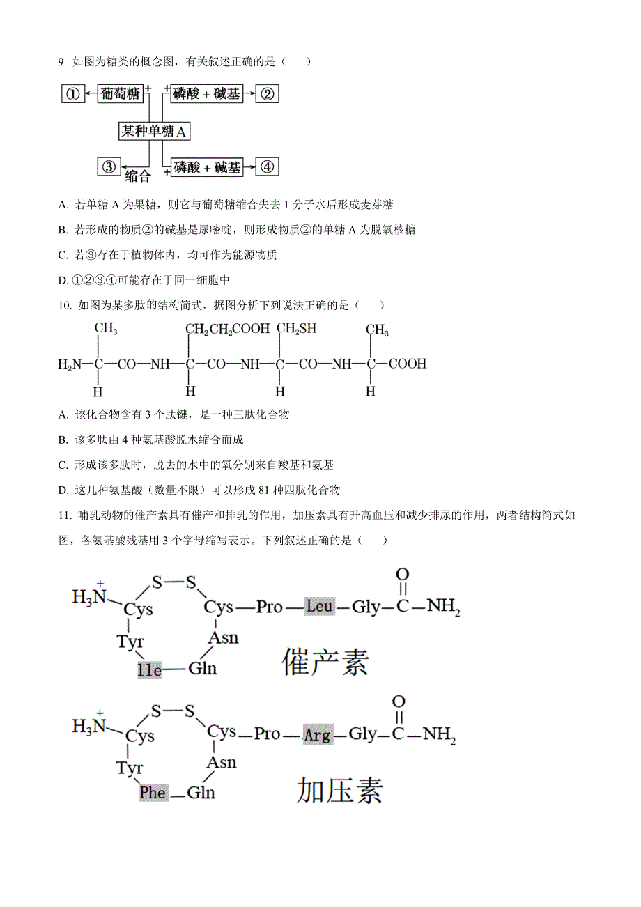 浙江省金兰教育合作组织2024-2025学年高一上学期期中考试生物 Word版无答案_第3页