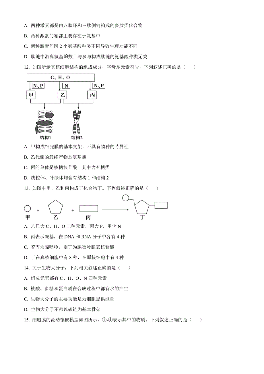 浙江省金兰教育合作组织2024-2025学年高一上学期期中考试生物 Word版无答案_第4页