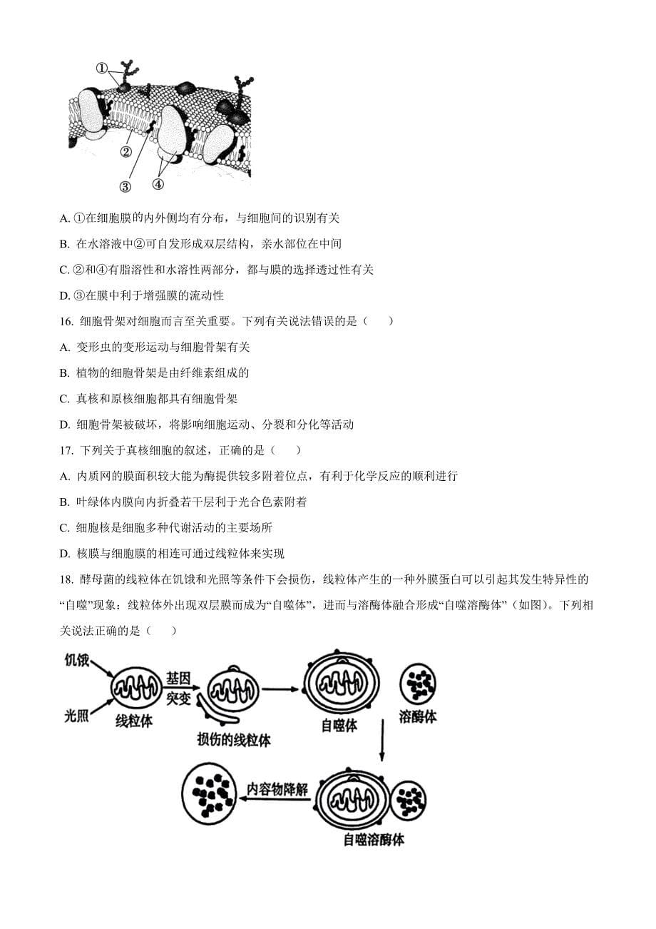 浙江省金兰教育合作组织2024-2025学年高一上学期期中考试生物 Word版无答案_第5页