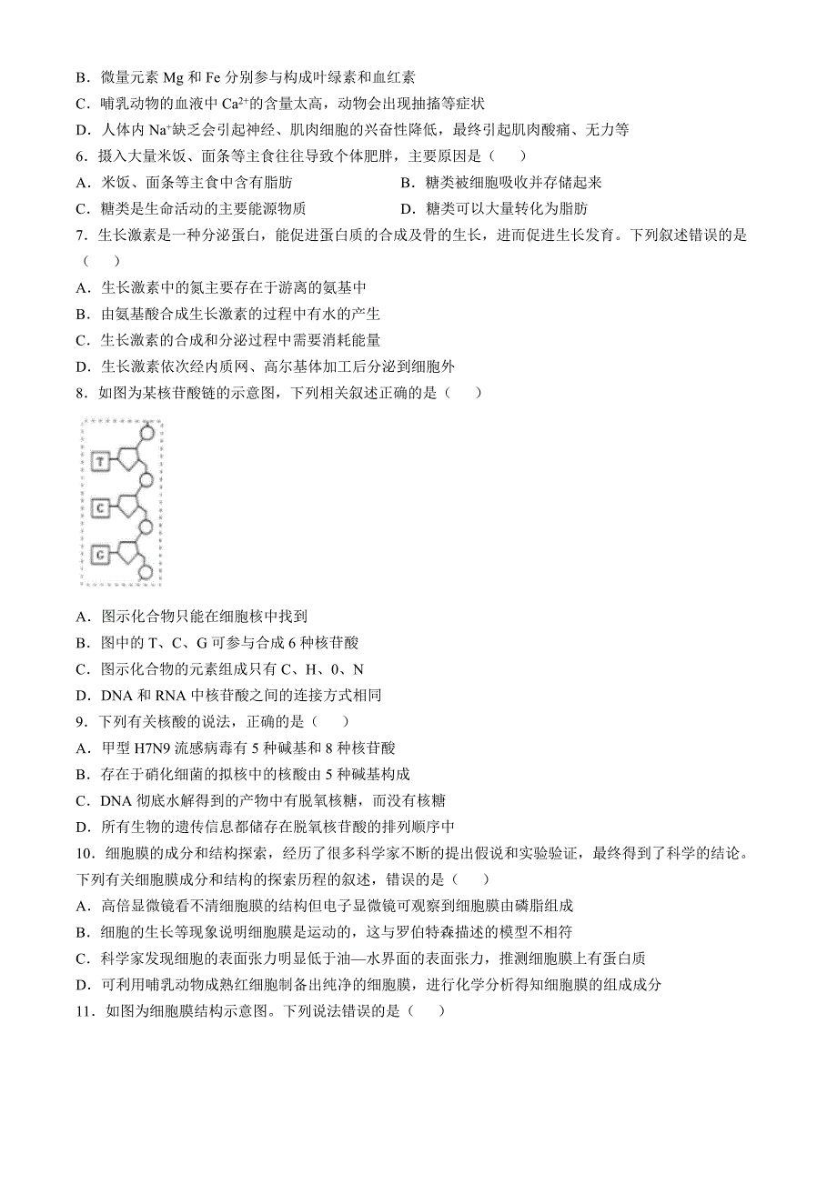 河南省信阳市罗山县2024-2025学年高一上学期11月期中生物Word版含解析_第2页